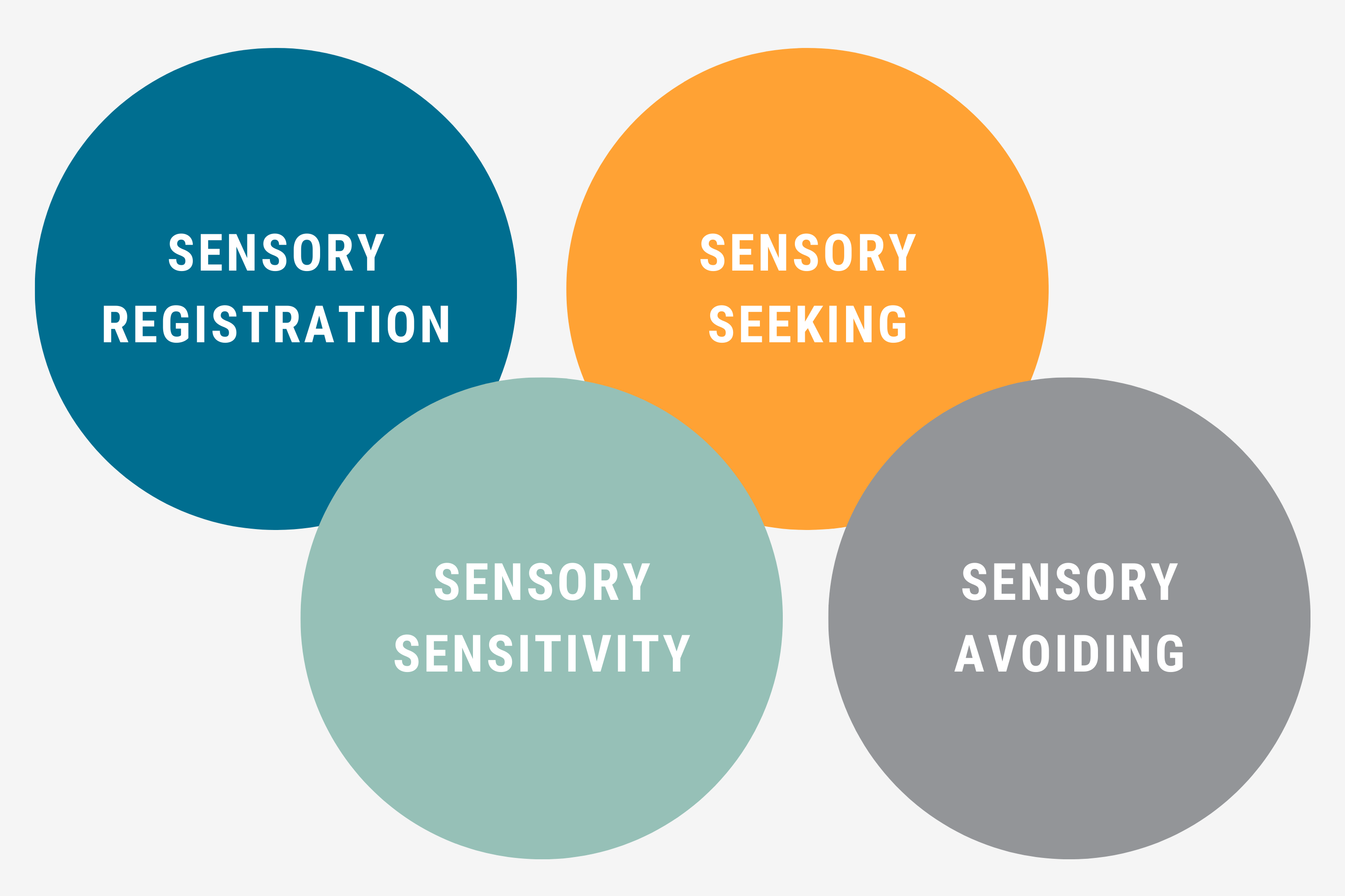 What's Your Sensory Profile? – SensoryRx