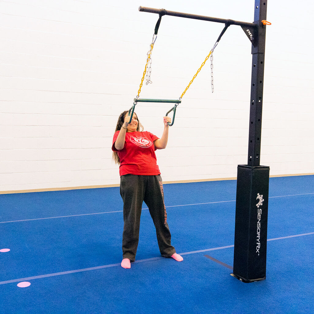 SensoryRx Trapeze Bar